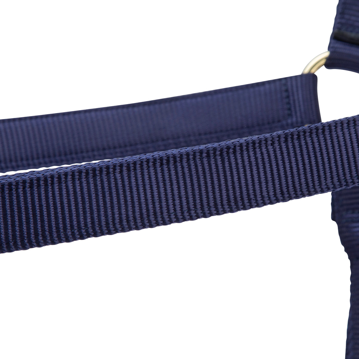 Shires ARMA Premium Adjustable Headcollar