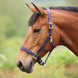 Shires ARMA Premium Adjustable Headcollar