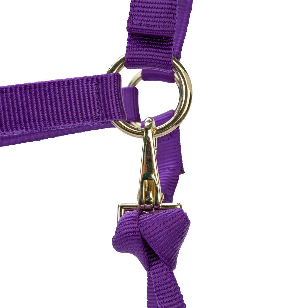 Shires ARMA Premium Adjustable Headcollar #colour_purple