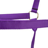 Shires ARMA Premium Adjustable Headcollar