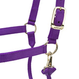 Shires ARMA Premium Adjustable Headcollar #colour_purple