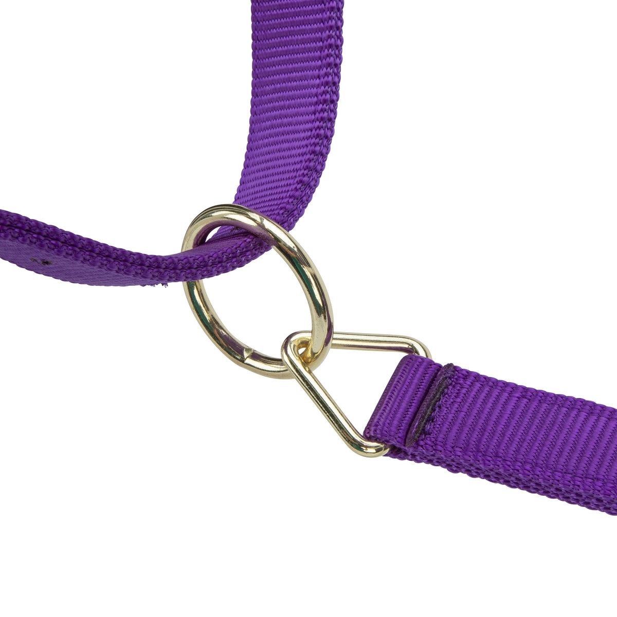 Shires ARMA Premium Adjustable Headcollar