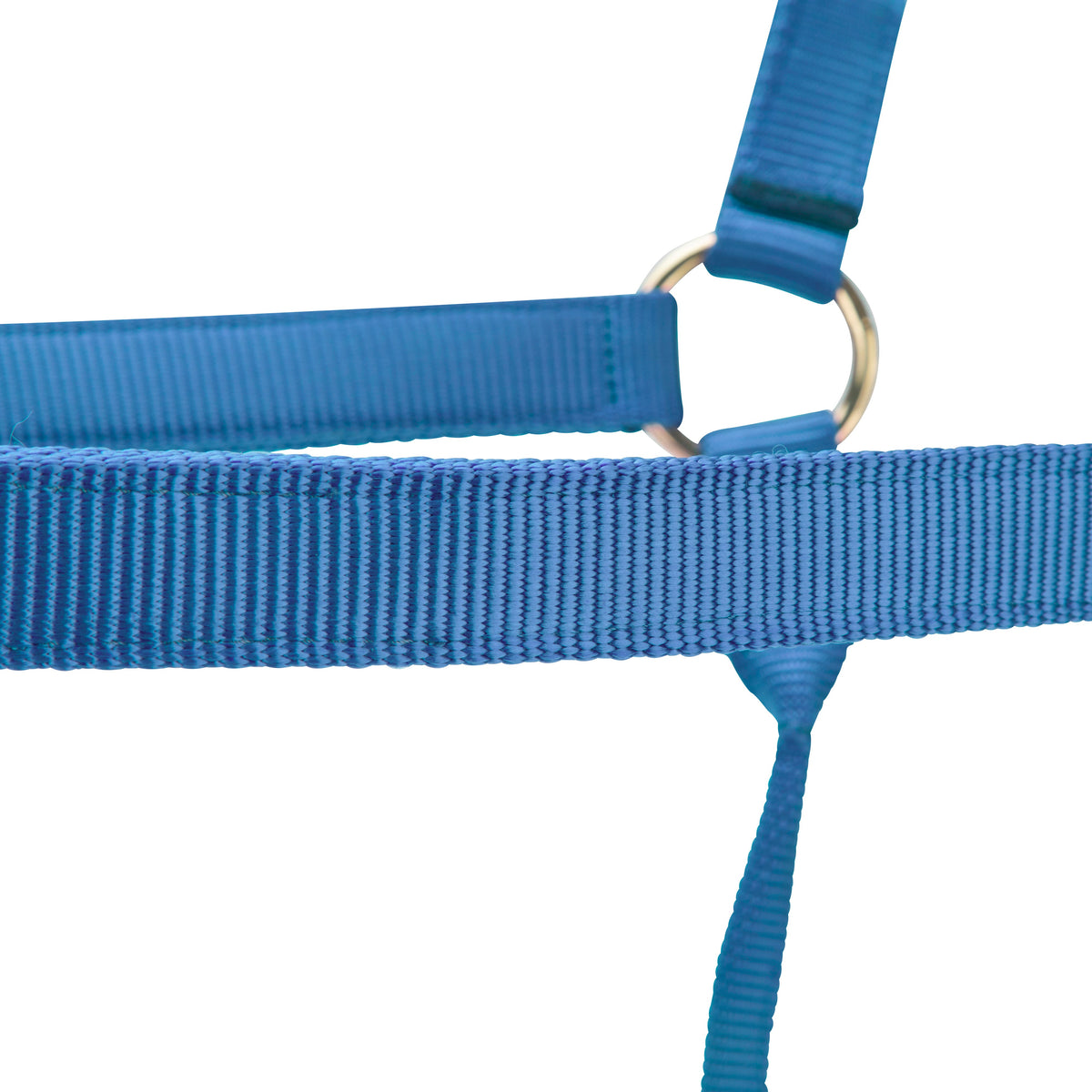 Shires ARMA Premium Adjustable Headcollar