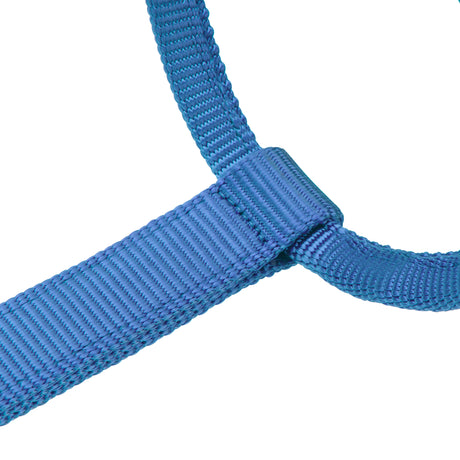 Shires ARMA Premium Adjustable Headcollar #colour_royal
