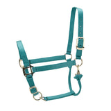 Shires ARMA Premium Adjustable Headcollar #colour_teal