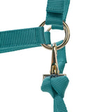 Shires ARMA Premium Adjustable Headcollar #colour_teal