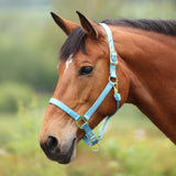 Shires ARMA Premium Adjustable Headcollar
