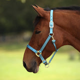 Shires ARMA Premium Adjustable Headcollar #colour_teal