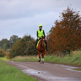 Shires EQUI-FLECTOR® Safety Vest