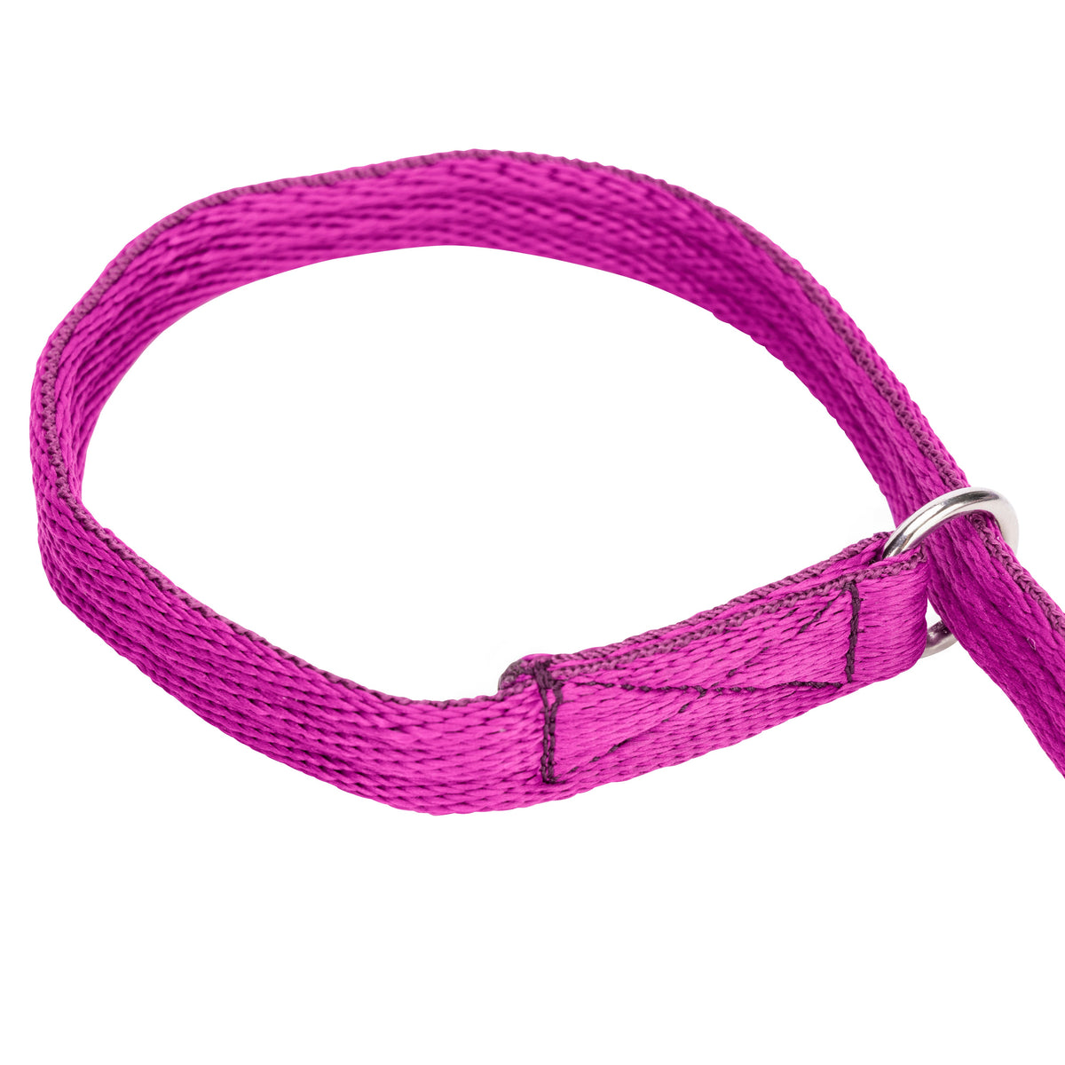 Shires Digby & Fox Cushion Web Slip Lead
