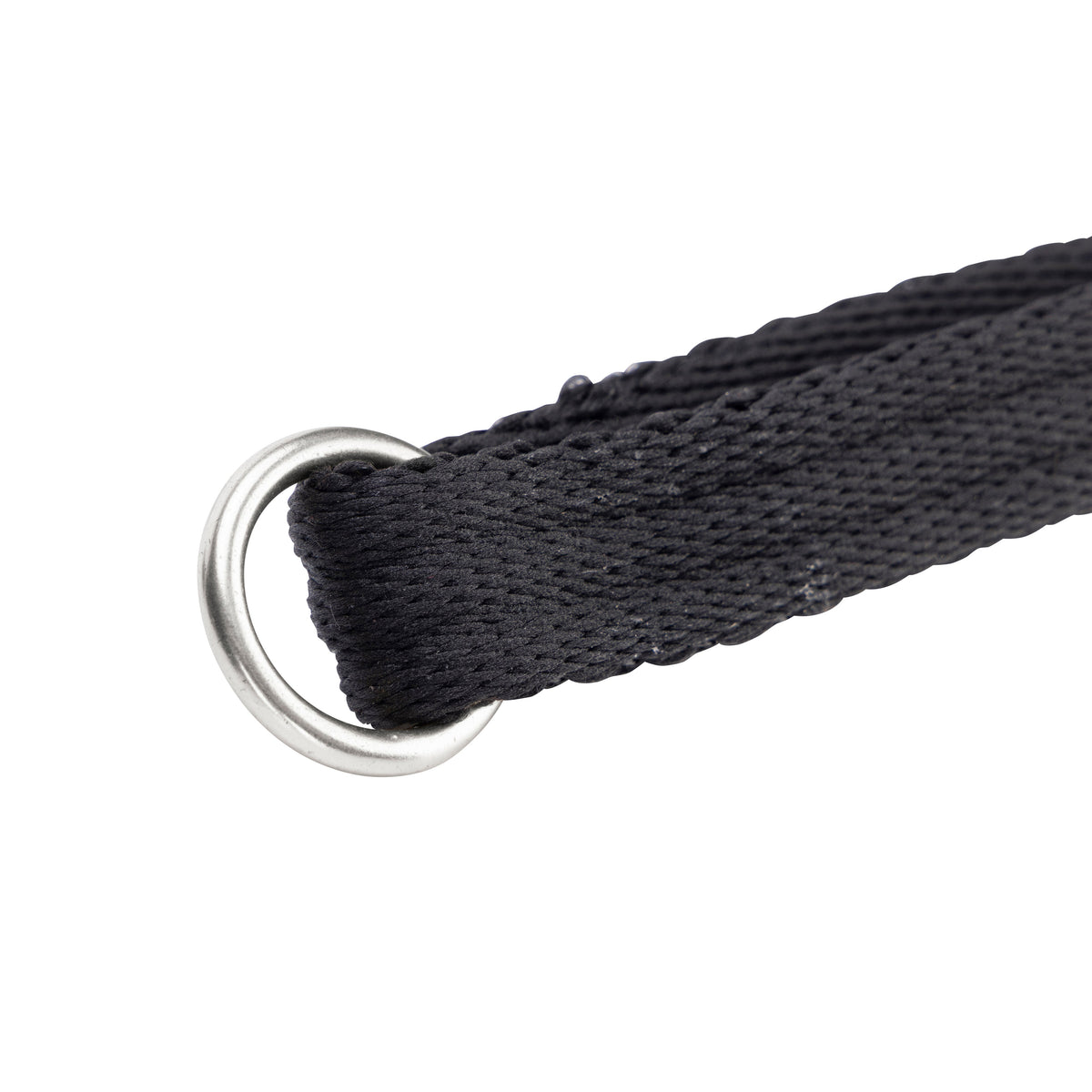 Shires Digby & Fox Cushion Extra Long Cushion Web Lead