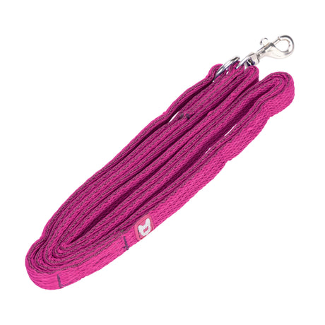 Shires Digby & Fox Cushion Web Lead