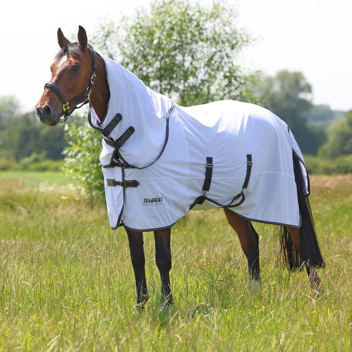 Shires Tempest Original Fly Rug & Neck Set #colour_white-grey