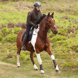 Shires Aubrion Heritage Unisex Quarter Zip Jacket