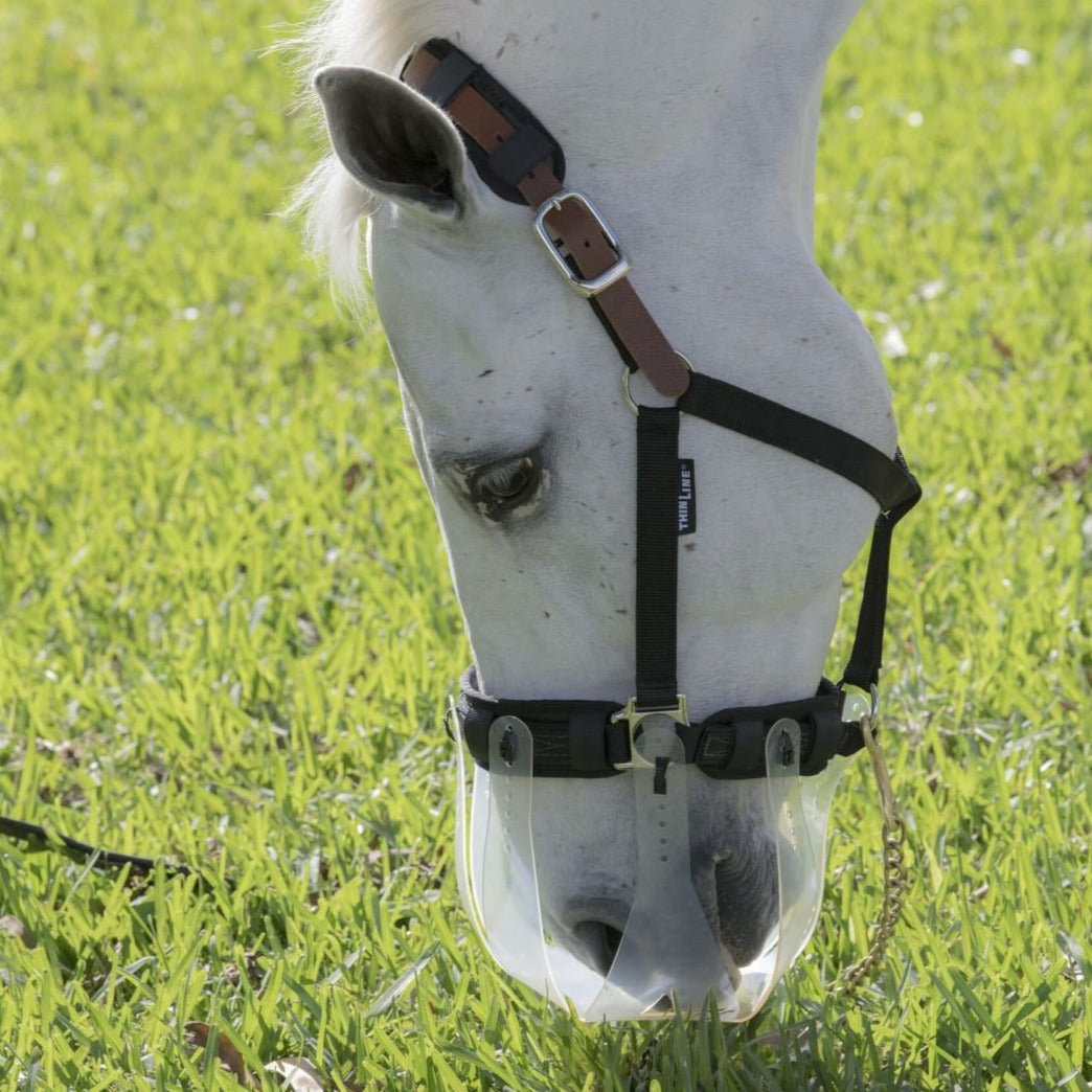 ThinLine Flexible Breakaway Field Safe Headcollar GS Equestrian