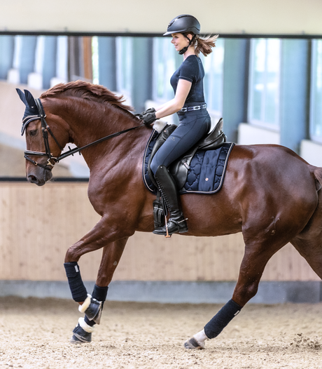 Waldhausen Modern Rosé Saddle Pad #colour_night-blue-rosegold