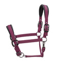 Shires ARMA Pro Padded Headcollar