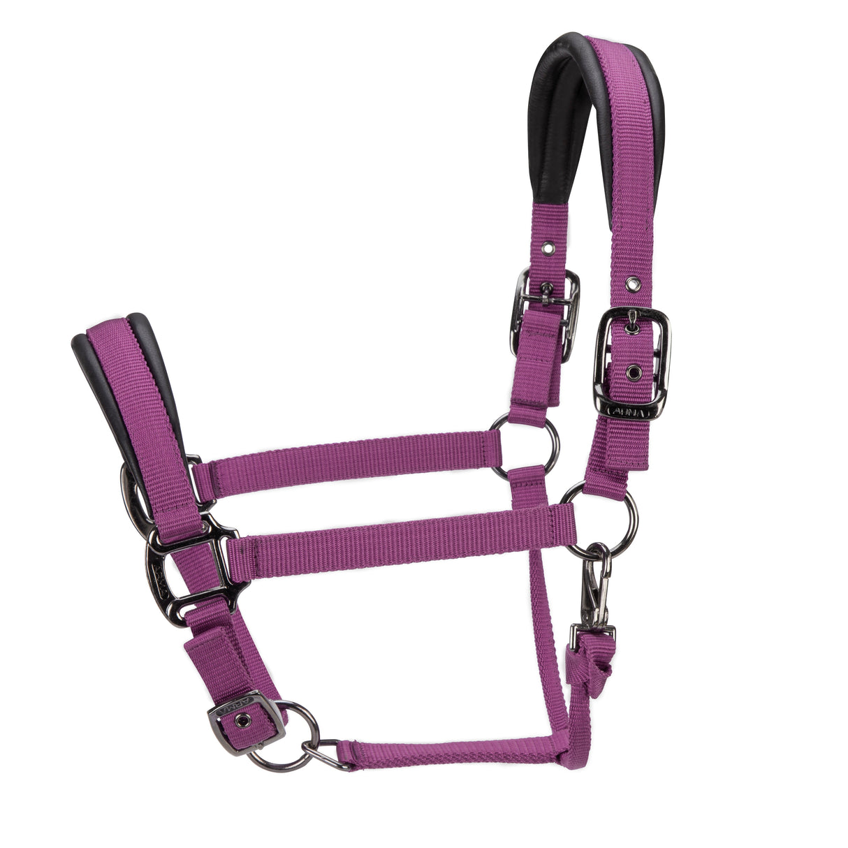 Shires ARMA Pro Padded Headcollar