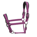 Shires ARMA Pro Padded Headcollar