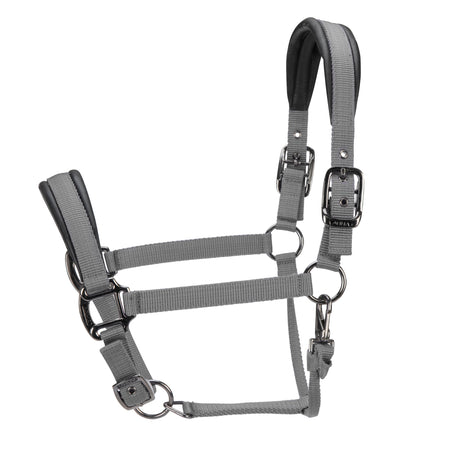 Shires ARMA Pro Padded Headcollar