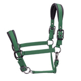 Shires ARMA Pro Padded Headcollar