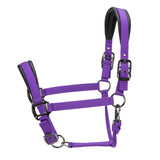 Shires ARMA Pro Padded Headcollar