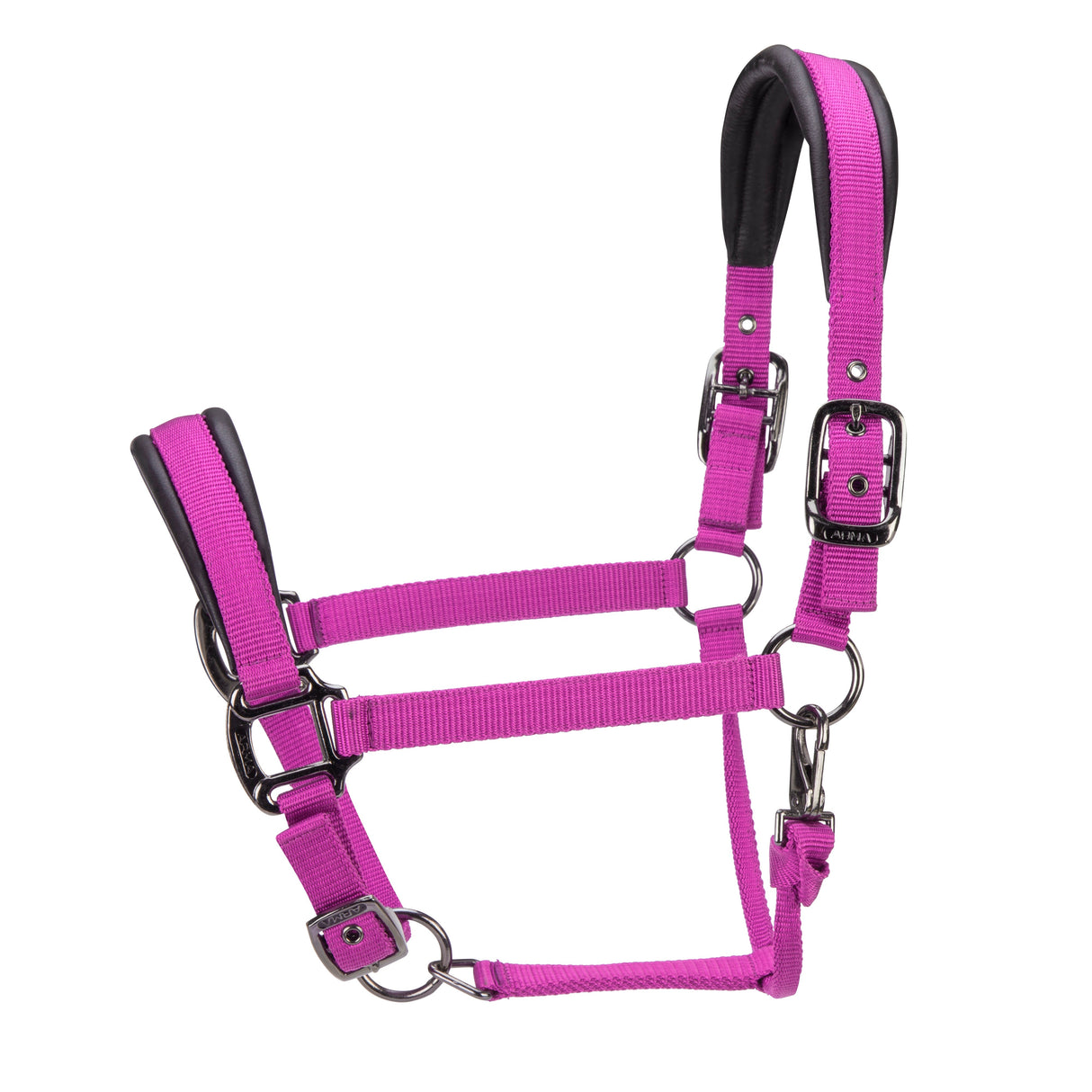 Shires ARMA Pro Padded Headcollar