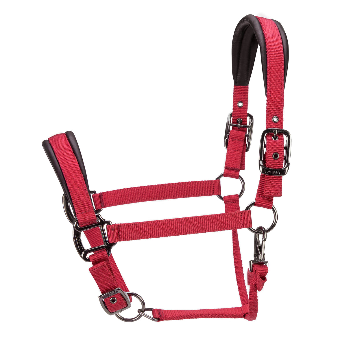 Shires ARMA Pro Padded Headcollar
