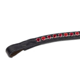 Shires Velociti GARA Two Tone Browband