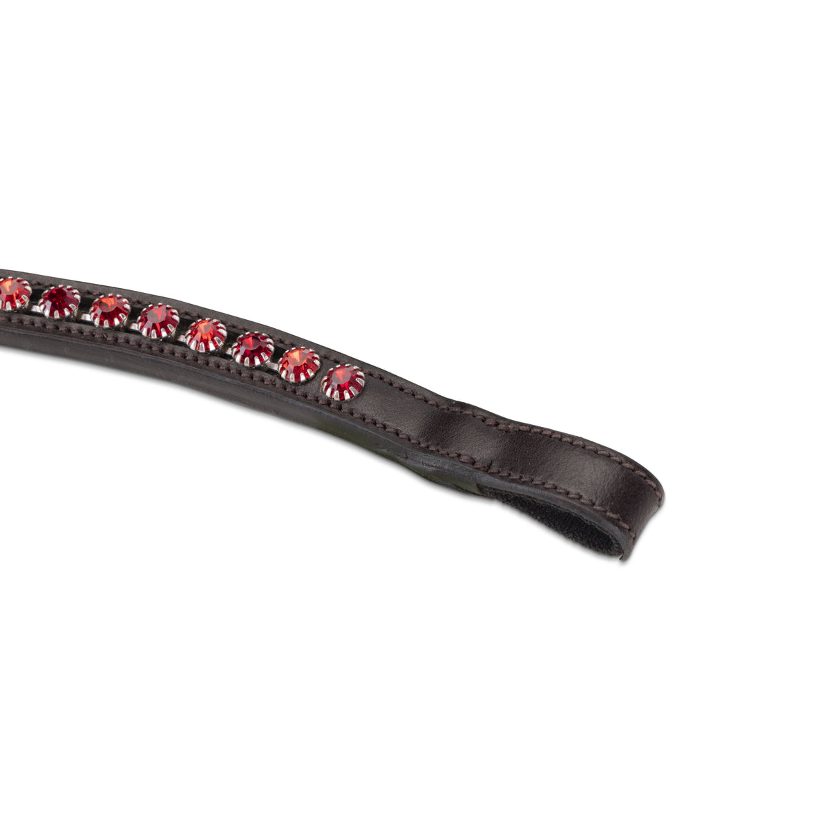 Shires Velociti GARA Two Tone Browband