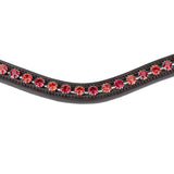 Shires Velociti GARA Two Tone Browband