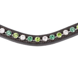 Shires Velociti GARA Three Tone Browband