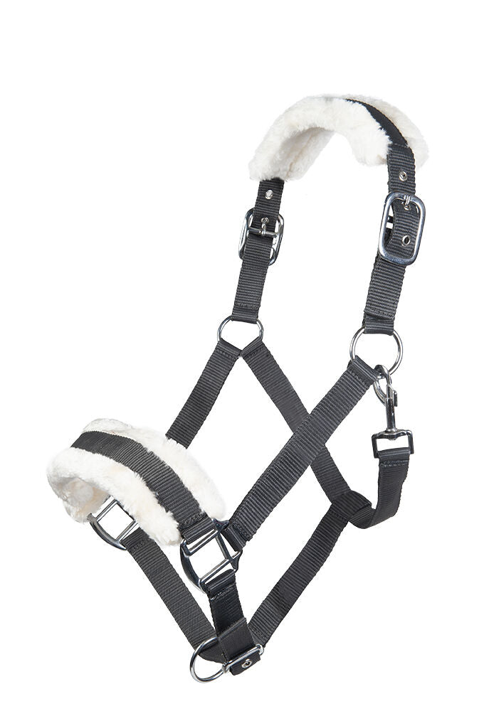 HKM Head Collar -Bischofshofen- with Plush Padding #colour_deep-grey