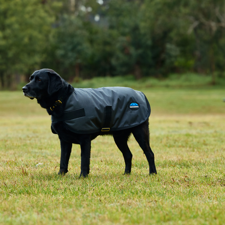Weatherbeeta Comfitec Classic Waterproof Dog Coat #colour_grey