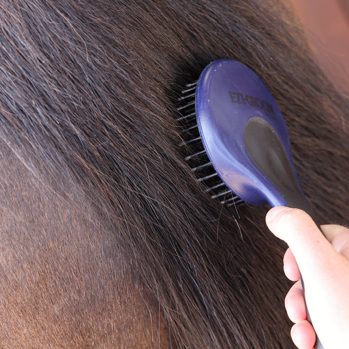 Ezi-Groom Grip Mane & Tail Brush