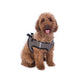 HKM Dog Harness -Buddy Soft- #colour_stone-grey