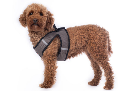 HKM Dog Harness -Buddy Soft- #colour_stone-grey