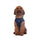 HKM Dog Harness -Buddy Soft- #colour_deep-blue