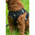 HKM Dog Harness -Buddy Soft- #colour_black