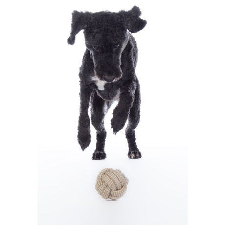 HKM Dog Toy -Buddy Knot Ball- #colour_natural