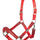 HKM Head Collar -Aruba- #colour_red