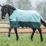 HKM 600D 100g Turnout Rug -Chester- #colour_olive-green-black