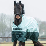 HKM 600D 100g Turnout Rug -Chester- #colour_olive-green-black