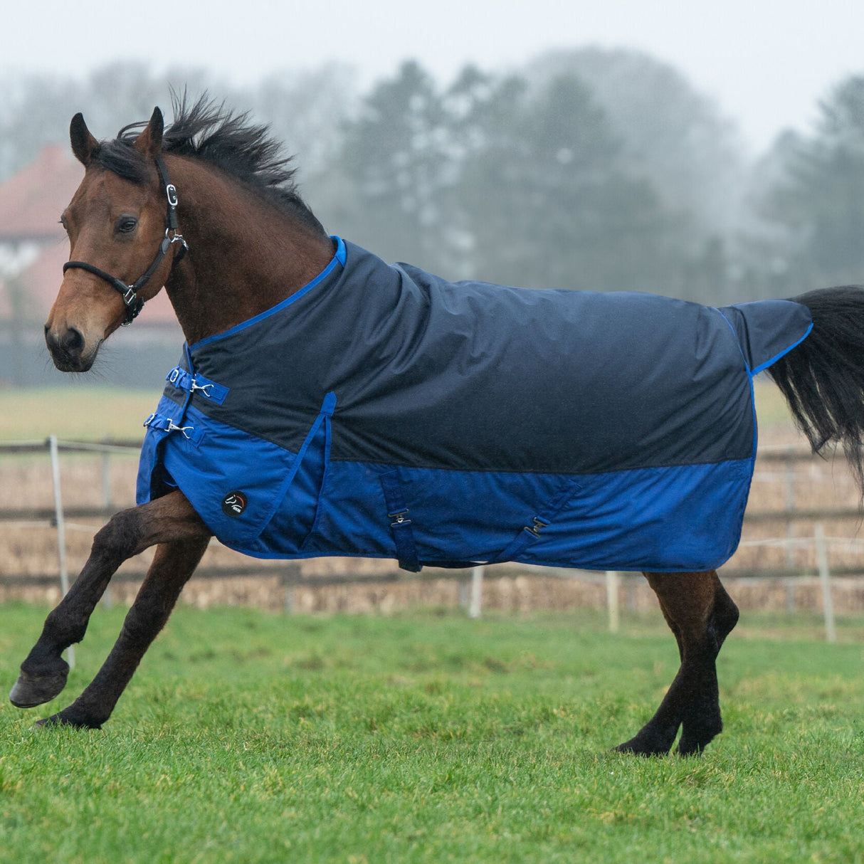 HKM 600D 100g Turnout Rug -Chester- #colour_navy-blue