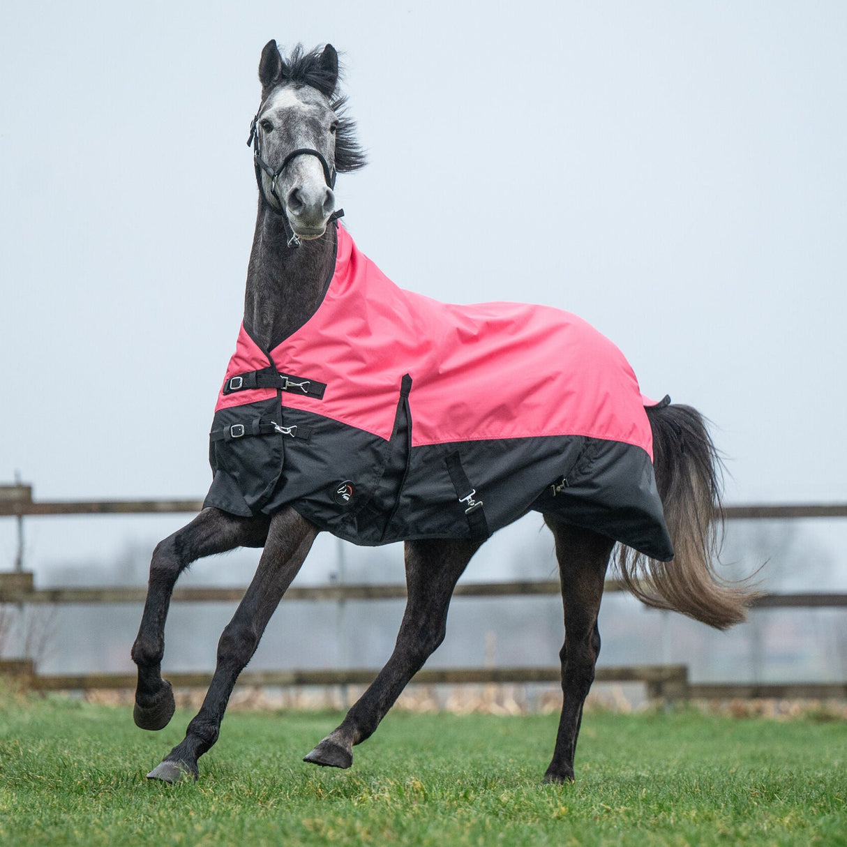 HKM 600D 300g Highneck Rug -Norwich- #colour_coral-black