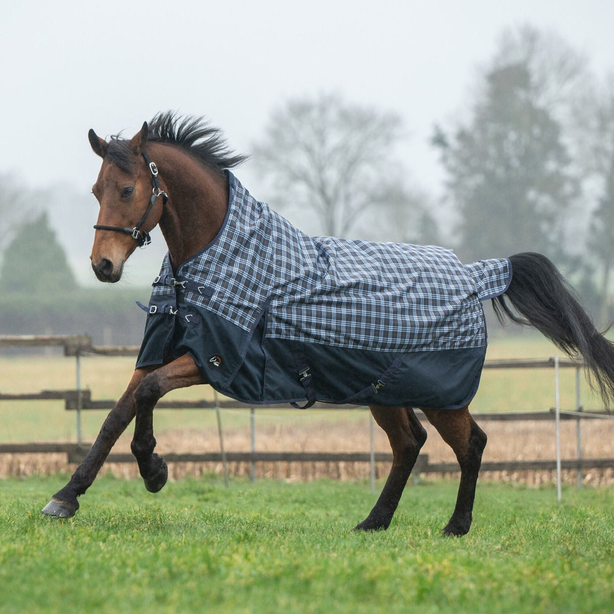HKM 1200D 100g Highneck Rug -Glasgow- #colour_deep-blue-check