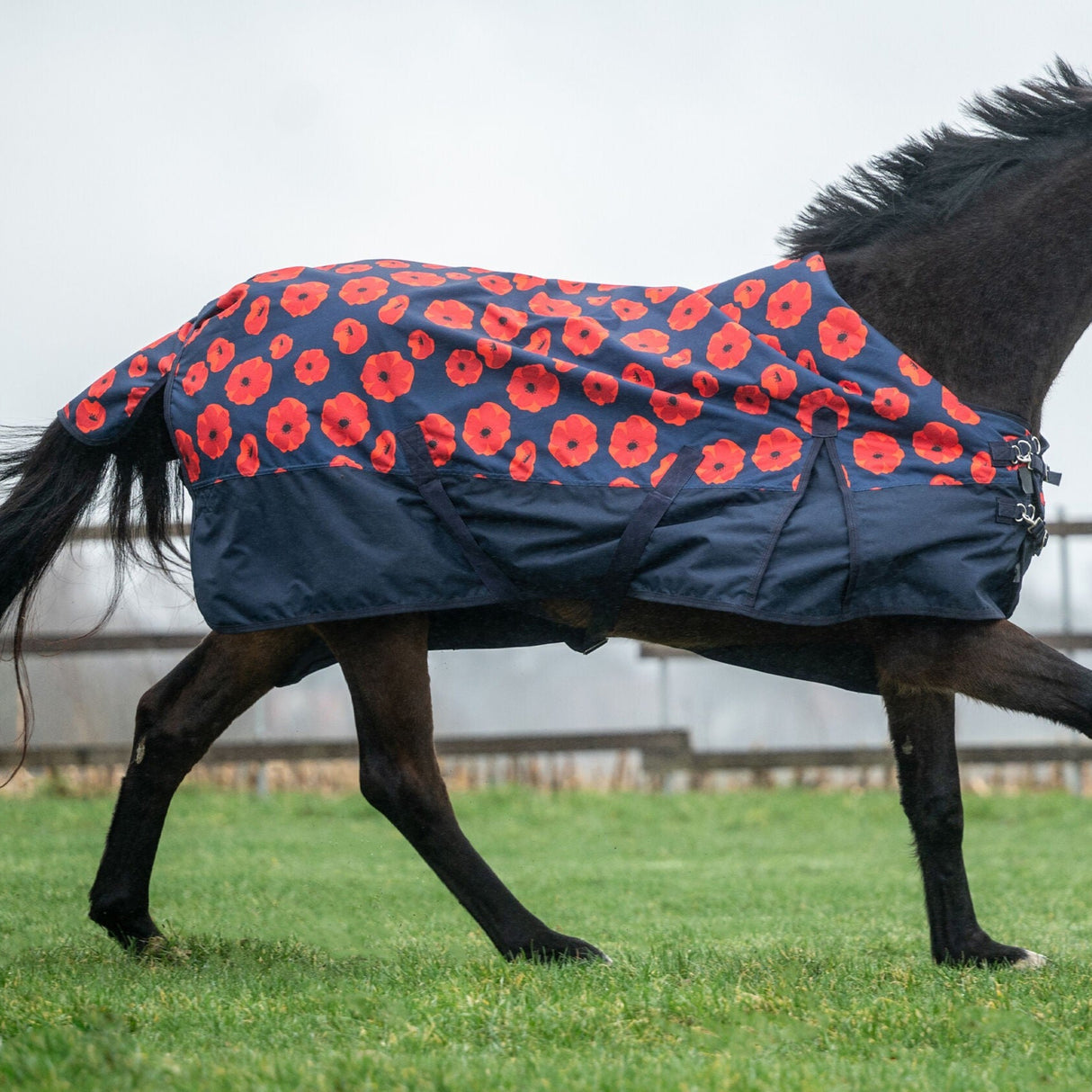 HKM 600D 300g Turnout Rug -Poppy- #colour_flower