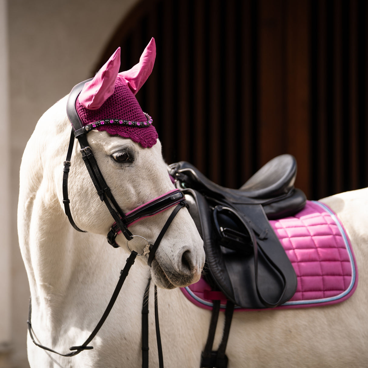 HKM Bridle -Manchester- #colour_black-pink