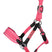 HKM Head Collar -Maui- For Shetland Ponies #colour_pink