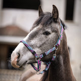 HKM Head Collar -Manchester-